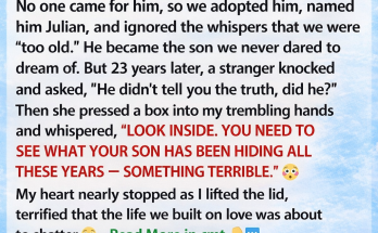 A Baby Was Abandoned at My Door—23 Years Later, Someone Revealed What My Son Hid
