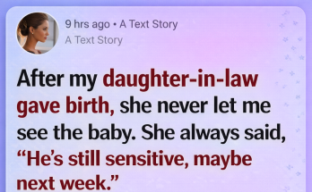 I Waited Patiently to Meet My Grandson, Until One Visit Changed Everything Forever