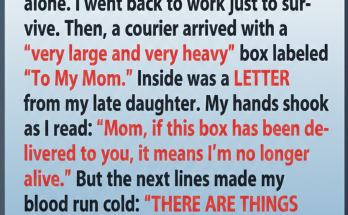 I Became the Guardian of My Four Grandchildren at 71 – Six Months Later, a Huge Package Arrived with a Letter from My Late Daughter That Turned My Life Upside Down